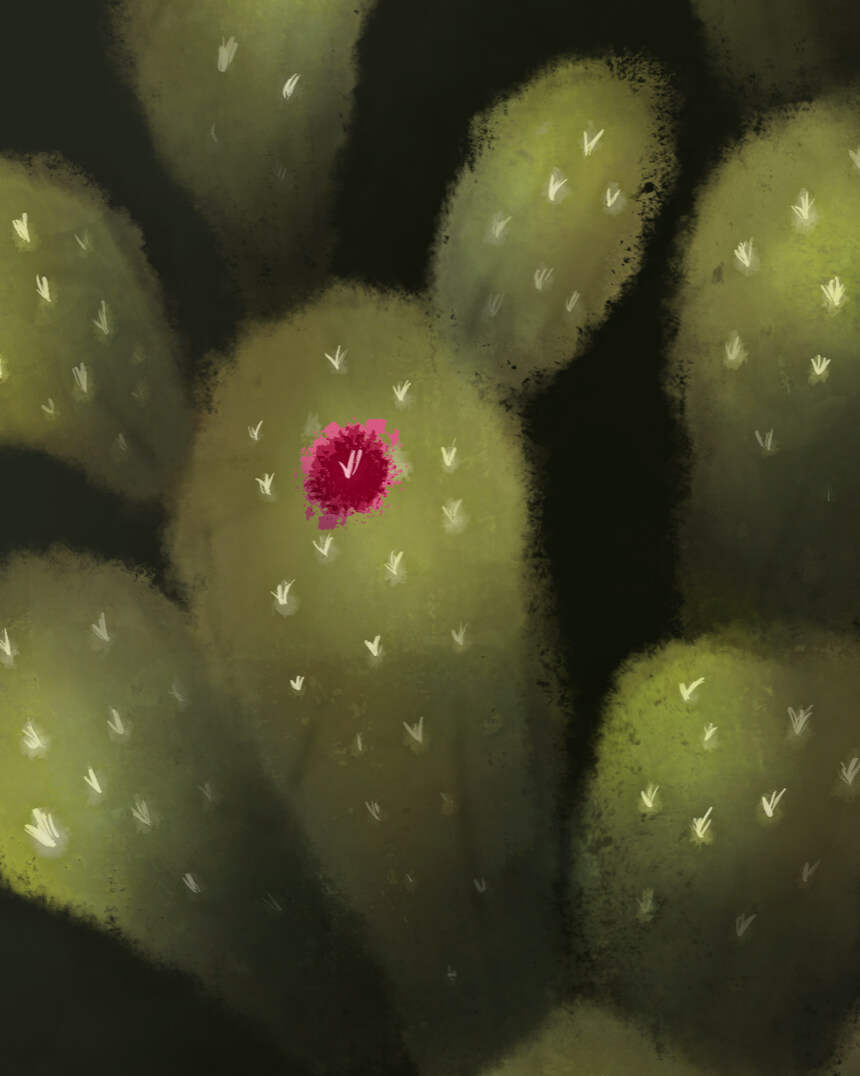 Painting of cactus with small pink flowers.